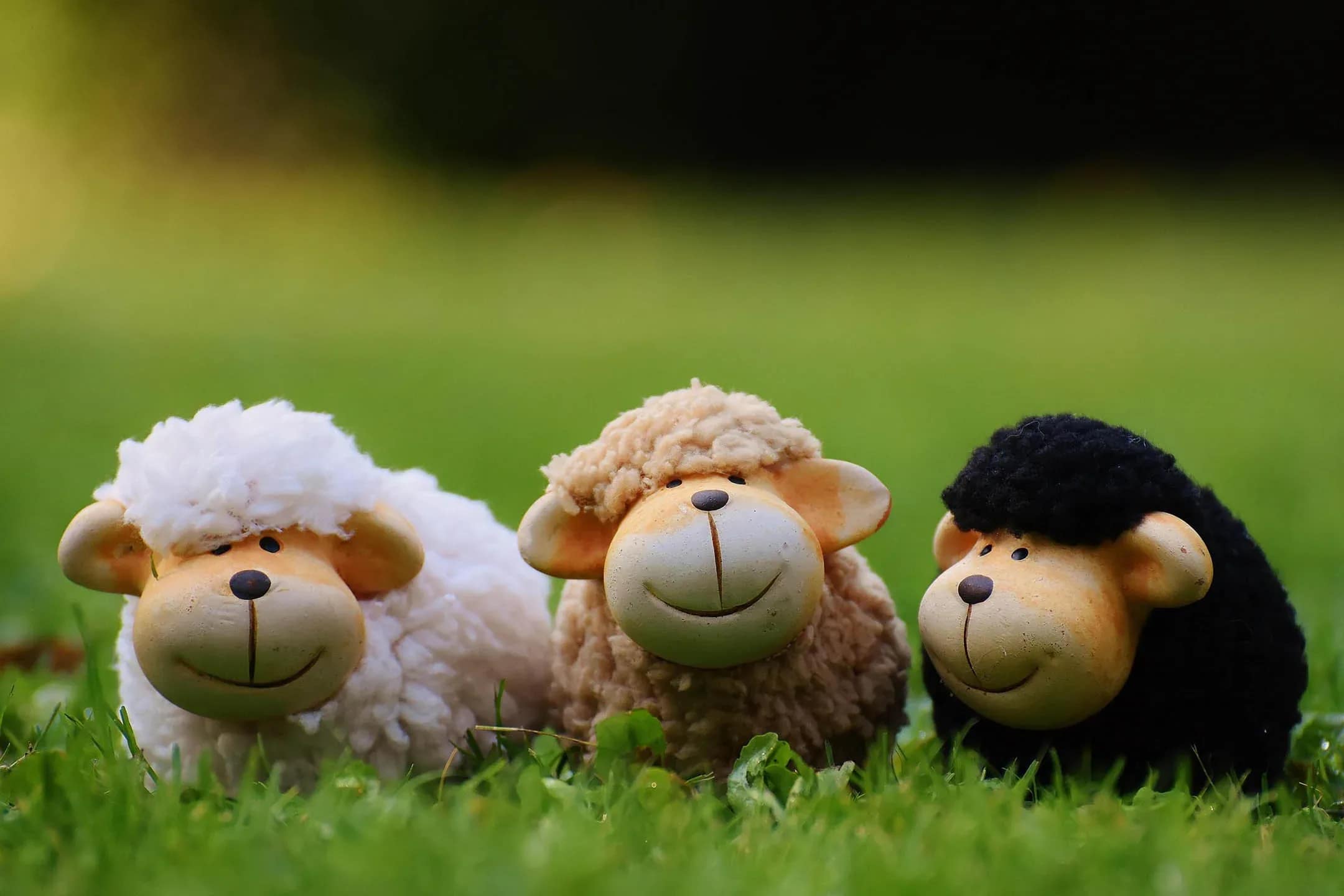Three colorful sheep figurines sitting on grass, representing white, brown and black sheep