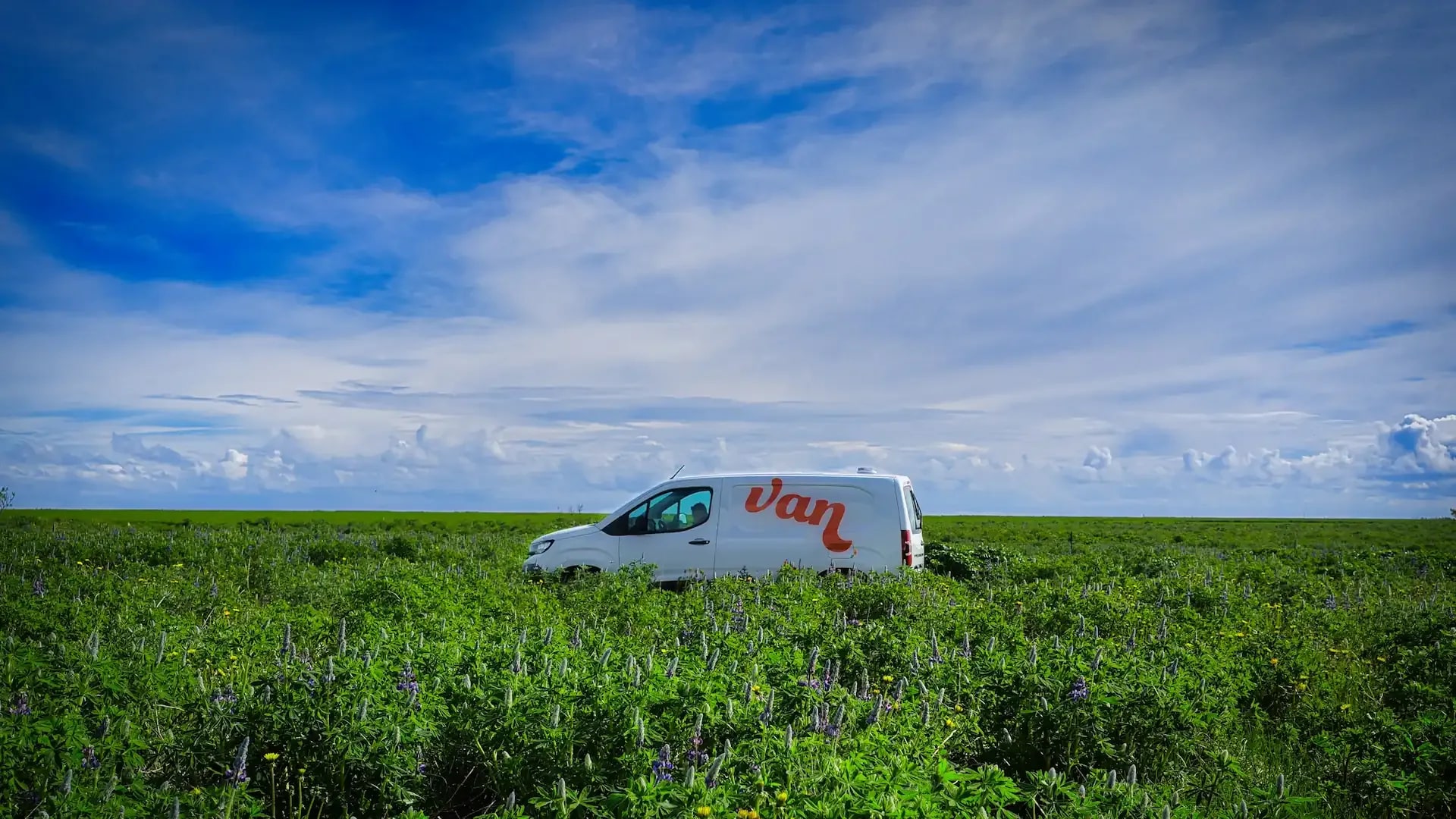 White campervan with an orange “Van” logo parked in a green Icelandic meadow beneath a blue sky.